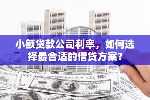 壶关小额贷款公司利率，如何选择最合适的借贷方案？