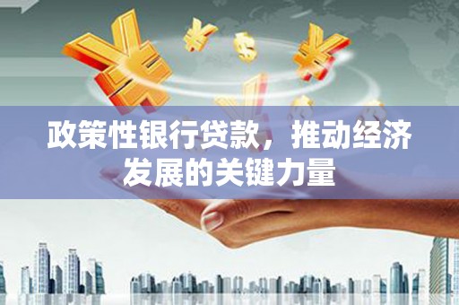 壶关政策性银行贷款，推动经济发展的关键力量