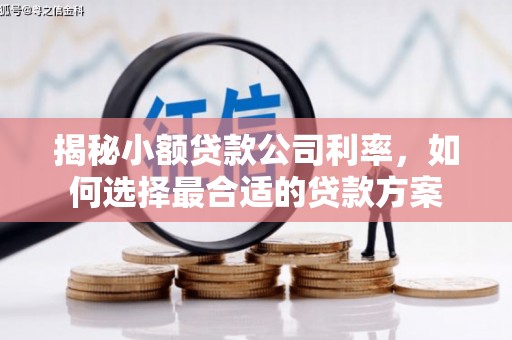 壶关揭秘小额贷款公司利率，如何选择最合适的贷款方案