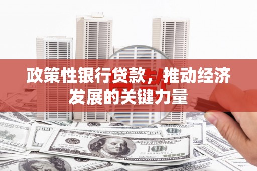 壶关政策性银行贷款，推动经济发展的关键力量