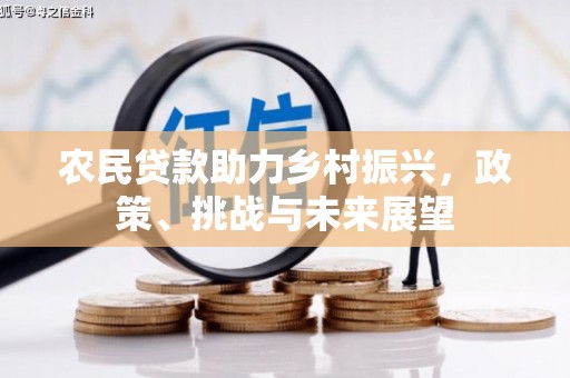 壶关农民贷款助力乡村振兴，政策、挑战与未来展望