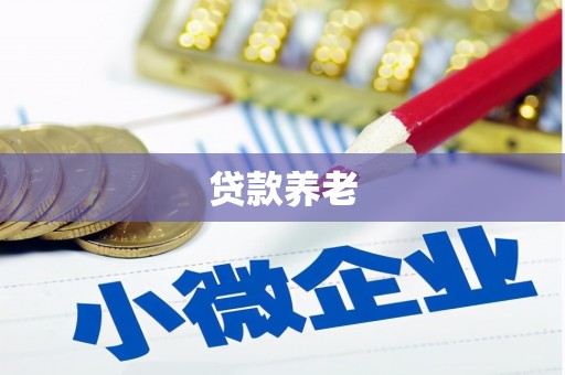 壶关贷款养老