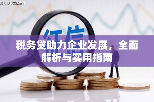 壶关税务贷助力企业发展，全面解析与实用指南