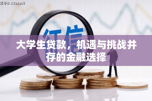 壶关大学生贷款，机遇与挑战并存的金融选择