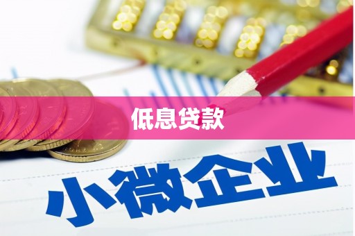 壶关低息贷款