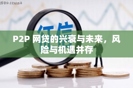 壶关P2P 网贷的兴衰与未来，风险与机遇并存