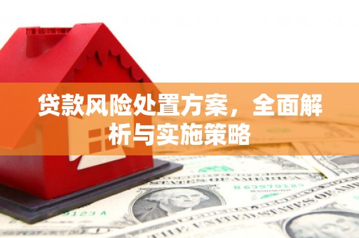 壶关贷款风险处置方案，全面解析与实施策略