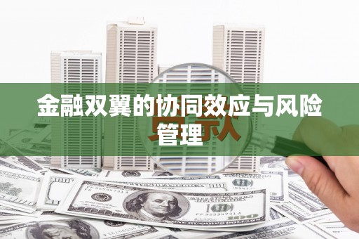 壶关金融双翼的协同效应与风险管理