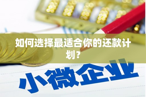 壶关如何选择最适合你的还款计划？