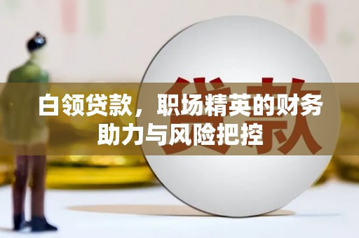 壶关白领贷款，职场精英的财务助力与风险把控